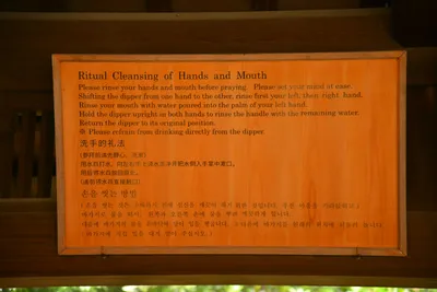 DSC_3295 (Large).JPG